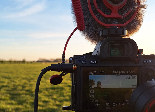 Cases Overzichtsafbeelding Landzijdebingo Ipsis 1300X1300px