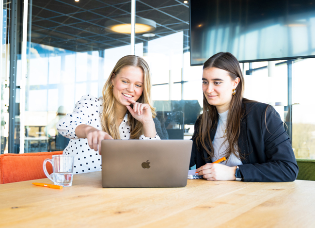 marketingteam ipsis bekijkt resultaten