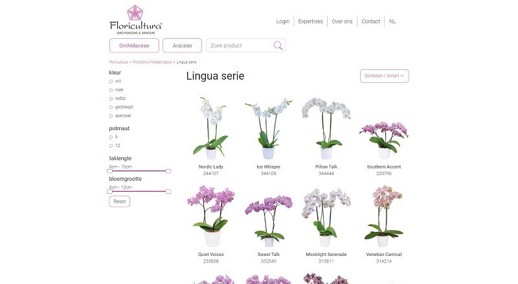 Nieuwe Website Floricultura 2