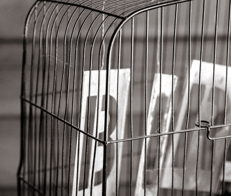 bird cage