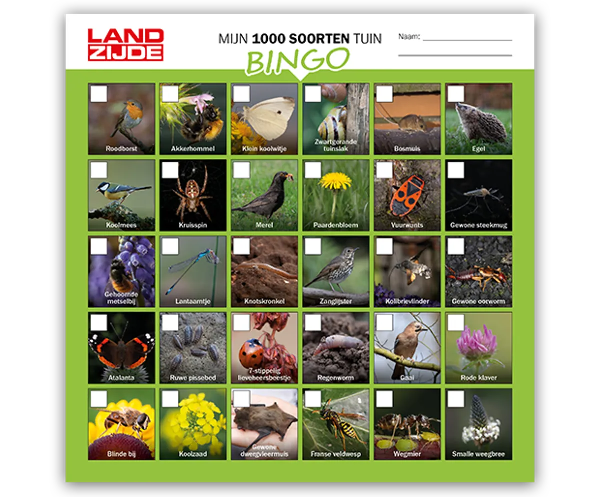 Cases Afbeelding1 Landzijdebingo Ipsis