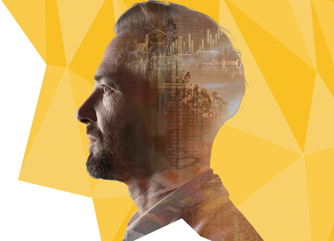 Cases Overzichtsafbeelding Accountantvast Ipsis 1300X1300px