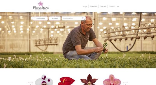 Nieuwe Website Floricultura 6
